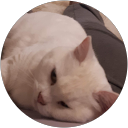 Johanna Smolander profile picture